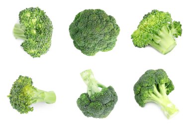 Beyaz arka planda taze yeşil brokoli seti