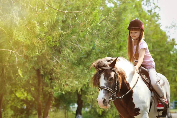 Niedliches kleines Mädchen beim Ponyreiten im Park an sonnigen Tagen — Stockfoto