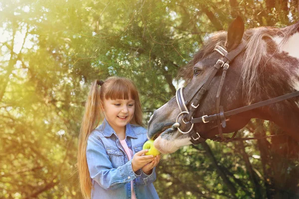 Милая маленькая девочка кормит своего пони яблоком в парке в солнечный день — стоковое фото