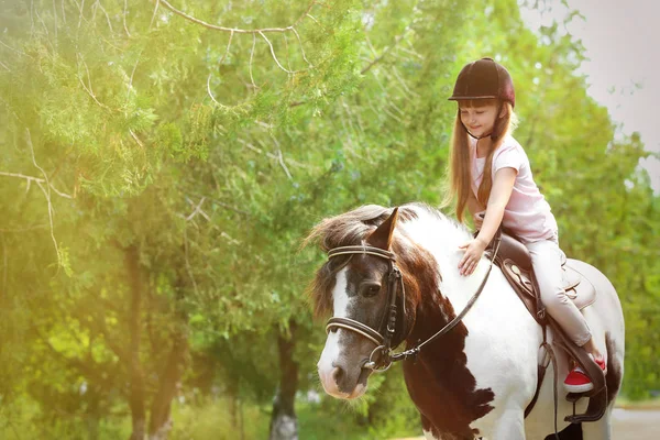 Милая маленькая девочка катается на пони в парке в солнечный день — стоковое фото