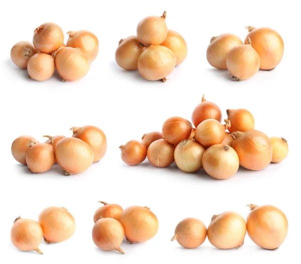 Satz reife Zwiebeln auf weißem Hintergrund — Stockfoto