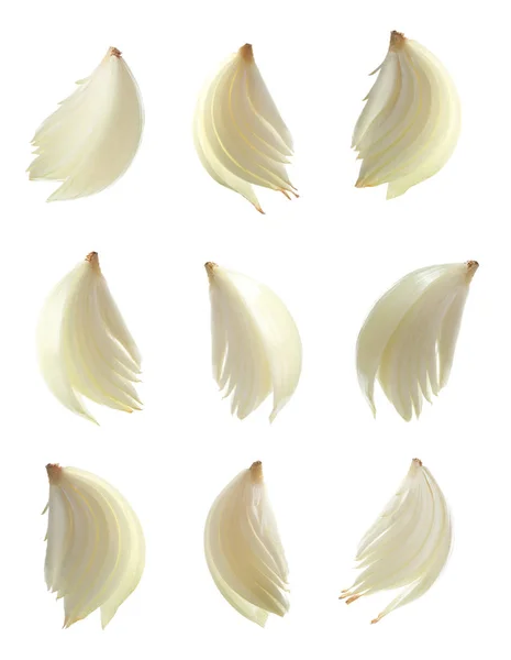 Zestaw ciętych surowych cebuli na białym tle — Zdjęcie stockowe