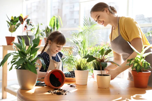 Madre e hija cuidando plantas caseras en la mesa en el interior — Foto de Stock