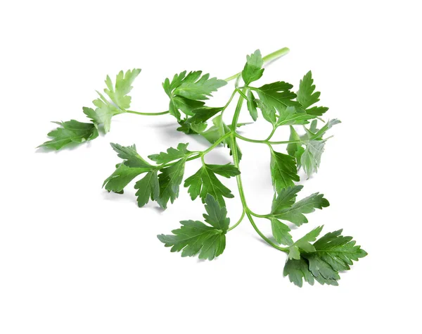 Fresh green organic parsley on white background — Stock Photo, Image