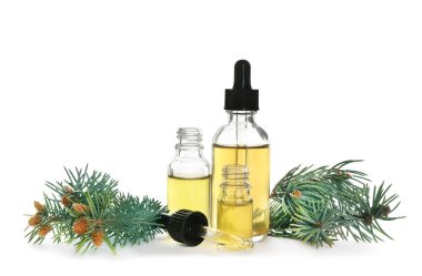 Beyaz üzerinde izole uçucu yağ, pipet ve çam dalı şişeleri