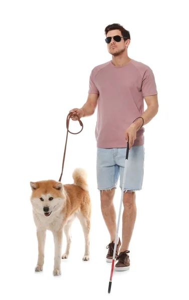 Hombre ciego con bastón y perro con correa contra fondo blanco — Foto de Stock