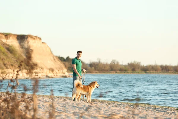 Junger Mann spaziert mit seinen entzückenden Akita Inu Hunden in der Nähe des Flusses — Stockfoto