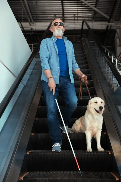 Persona ciega con bastón largo y perro guía en escaleras mecánicas en interiores — Foto de Stock