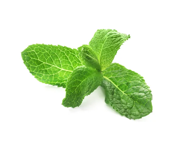 Rama de menta fresca aislada en blanco — Foto de Stock