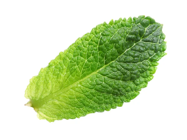 Grünes Blatt frischer aromatischer Minze isoliert auf weiß — Stockfoto