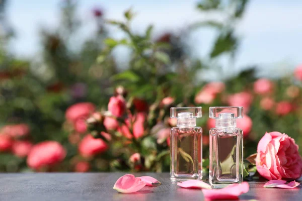 Flaschen mit Parfüm, frischen Rosen und Blütenblättern auf dem Tisch vor verschwommenem Hintergrund. Raum für Text — Stockfoto