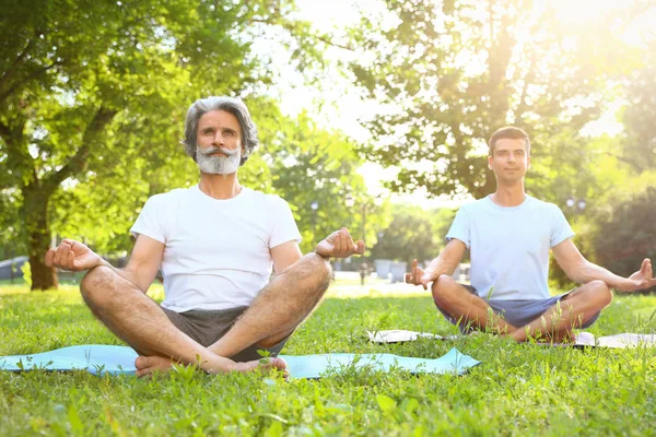Чоловіки практикують ранкову йогу в сонячному парку — стокове фото