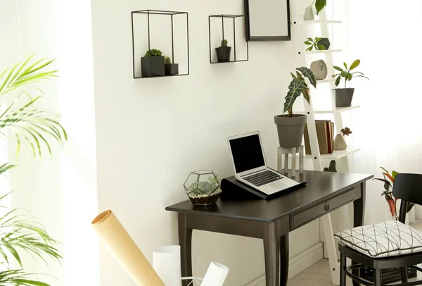 Interior de sala na moda com diferentes plantas de casa e laptop na mesa. Espaço para texto — Fotografia de Stock