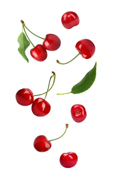 Set of flying ripe sweet cherries on white background — Stock Photo, Image