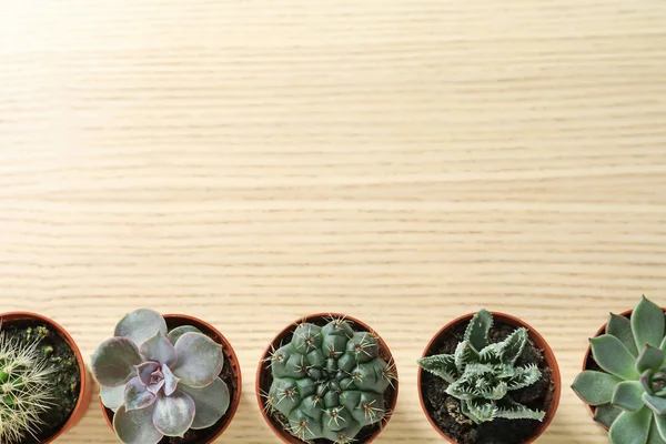 Komposisi rata dengan tanaman yang berbeda-beda dalam pot di atas meja kayu, ruang untuk teks. Dekorasi rumah — Stok Foto