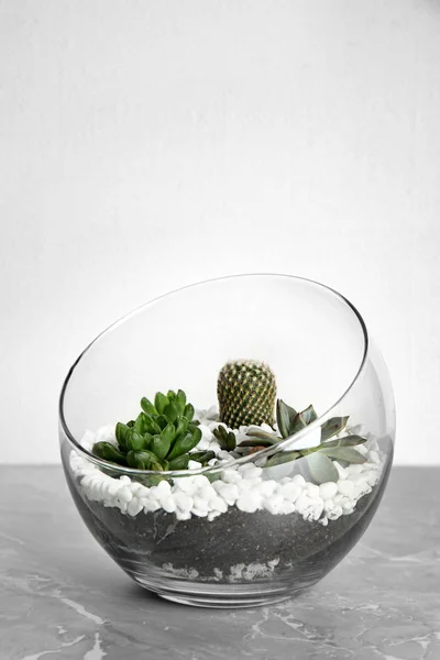 Florarium en verre avec différents succulents sur la table sur fond blanc, espace pour le texte — Photo