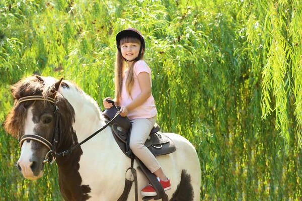 Милая маленькая девочка катается на пони в зеленом парке — стоковое фото