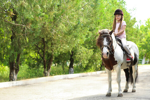 Милая маленькая девочка катается на пони в зеленом парке
