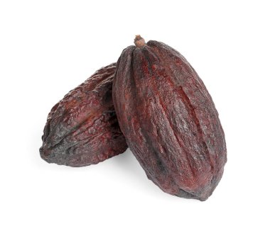 Tüm tropikal kakao Kapsüller beyaz izole