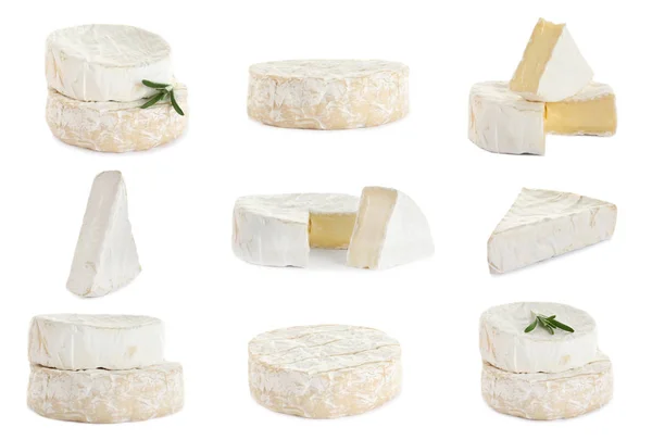 Set de diferentes quesos deliciosos sobre fondo blanco —  Fotos de Stock