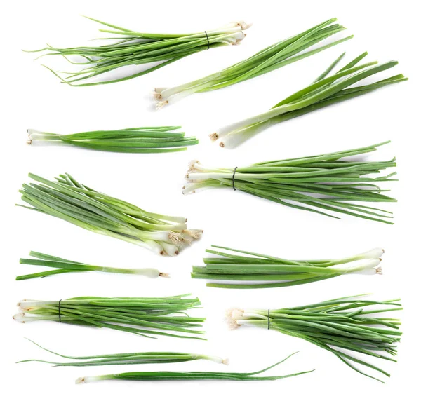 Conjunto de cebollas verdes frescas sobre fondo blanco — Foto de Stock