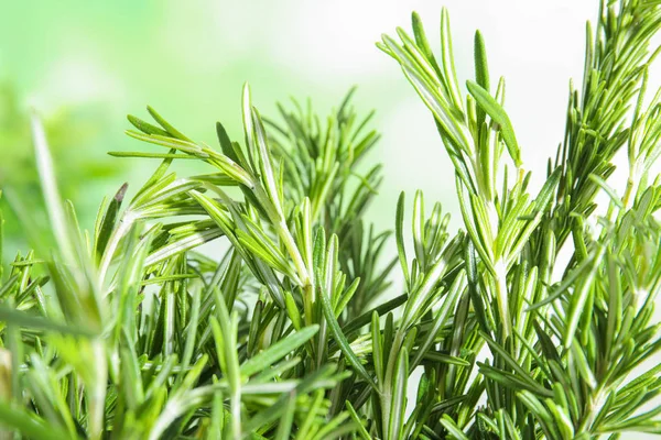 Rami di rosmarino fresco su fondo verde sfocato — Foto Stock