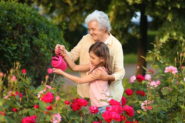 Little girl and her grandmother watering flowers in garden — Stock Photo, Image