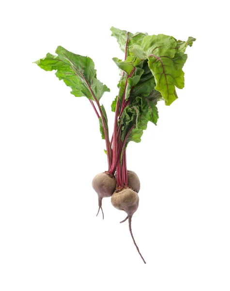 Bunch of fresh beets with leaves on white background — Stock Photo, Image