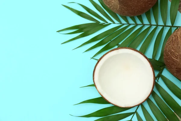 Čerstvé kokosové ořechy a palmové listy na světle modrém pozadí, pohled shora. Místo pro text — Stock fotografie