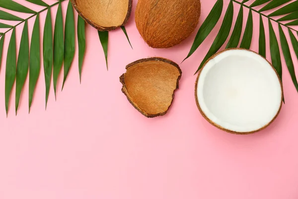 Cocos frescos y hojas de palma sobre fondo rosa, planas — Foto de Stock