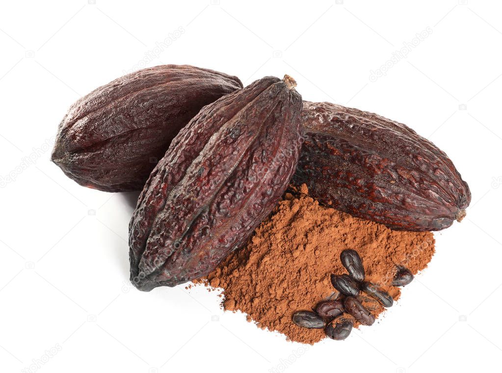 Whole cocoa pods, powder and beans on white background