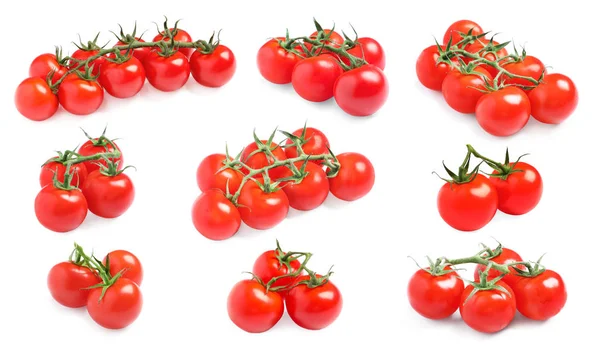 Ensemble de tomates cerises mûres juteuses sur fond blanc — Photo