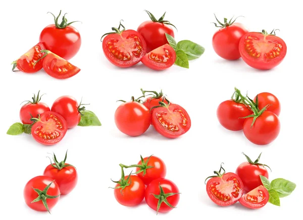 Conjunto de tomates cereja maduros sobre fundo branco — Fotografia de Stock