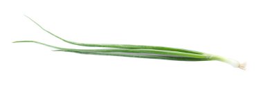 Beyaz arka planda taze olgun yeşil soğan