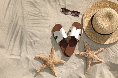 Kum üzerinde plaj aksesuarları ile düz yatıyordu kompozisyon. Metin alanı