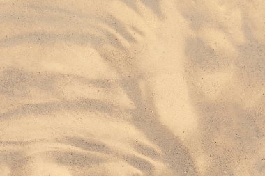 Arka plan olarak güneşli bir gün altın plaj kum