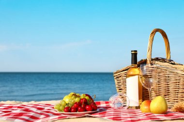 Güneşli plajda piknik sepeti ve ürünleri ile damalı battaniye. Metin alanı
