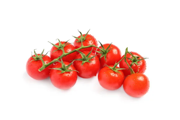 Beyaz üzerine izole edilmiş taze kiraz domatesleri dalı — Stok fotoğraf