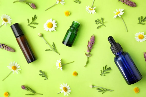 Botellas de diferentes aceites esenciales y flores silvestres sobre fondo de color, disposición plana — Foto de Stock