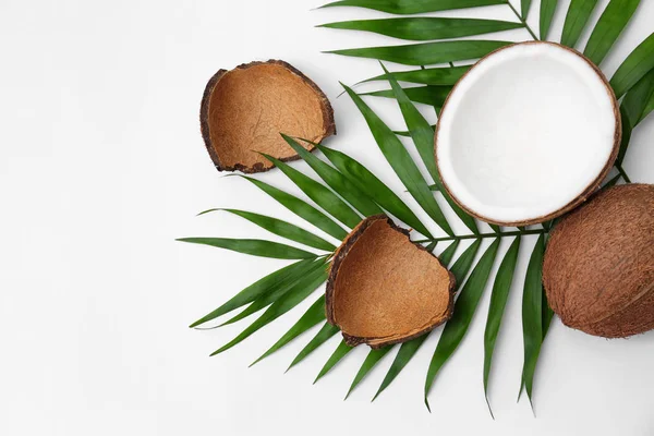 Cocos frescos y hojas de palma sobre fondo blanco, vista superior — Foto de Stock