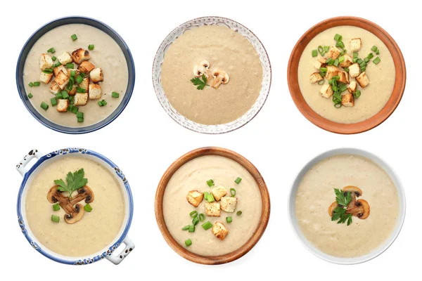 Sada čerstvé domácí houbové polévky na bílém pozadí, pohled shora — Stock fotografie