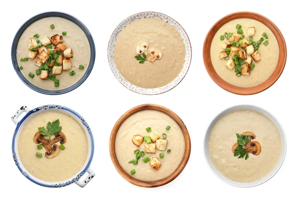 Set of fresh homemade mushroom soup on white background, top view — Stock Image Set of fresh homemade mushroom soup on white background, top view Royalty Free Stock Photos