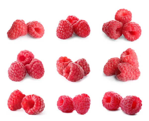 Set of fresh sweet raspberries on white background Royalty Free Stock Photos