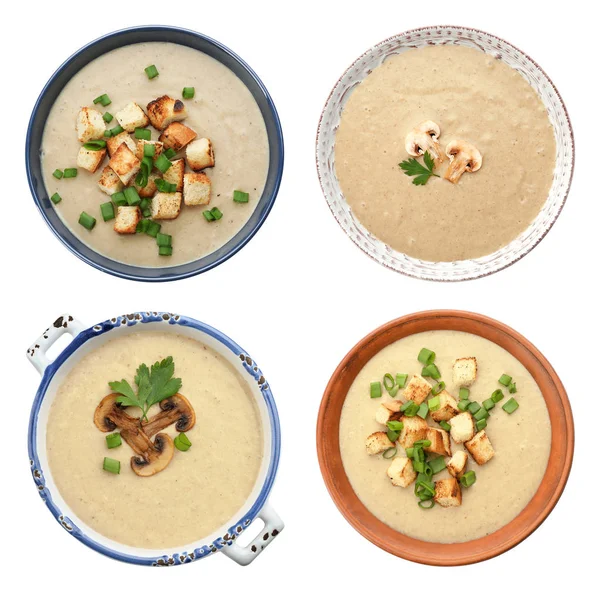 Set of fresh homemade mushroom soup on white background, top view — Stock Image Set of fresh homemade mushroom soup on white background, top view Stock Picture