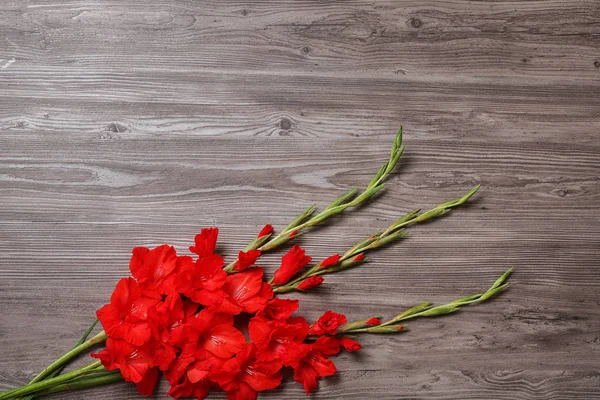 Platte lay compositie met mooie gladiolen bloemen op houten achtergrond. Ruimte voor tekst — Stockfoto