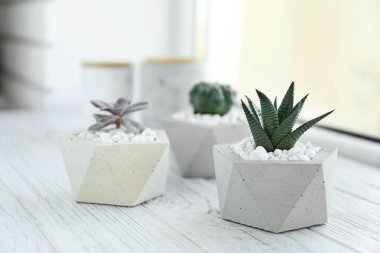 Pencere üzerinde şık saksılarda güzel sulu bitkiler. Ev dekorasyonu