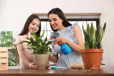 Anne ve kızı evde bitki bakımı