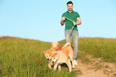Genç adam onun sevimli Akita Inu köpekler açık havada yürüyüş