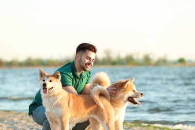 Nehir kenarında onun sevimli Akita Inu köpekleri yürüyüş genç adam