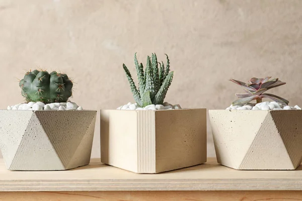 Belas plantas suculentas em vasos elegantes em mesa de madeira contra fundo marrom. Decoração de casa — Fotografia de Stock